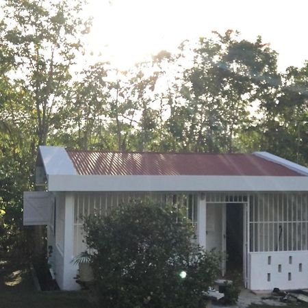 Le Belleplaine Villa Le Gosier  Oda fotoğraf