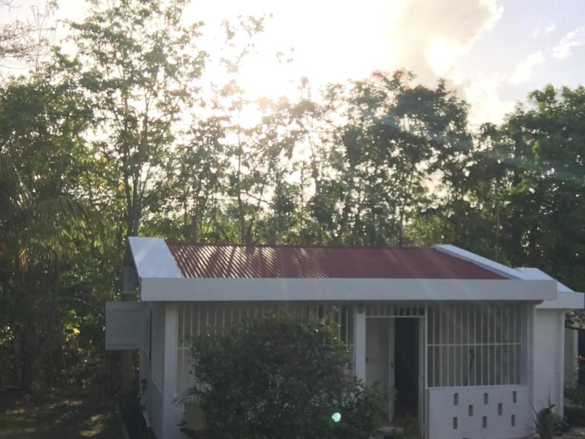 Le Belleplaine Villa Le Gosier  Dış mekan fotoğraf