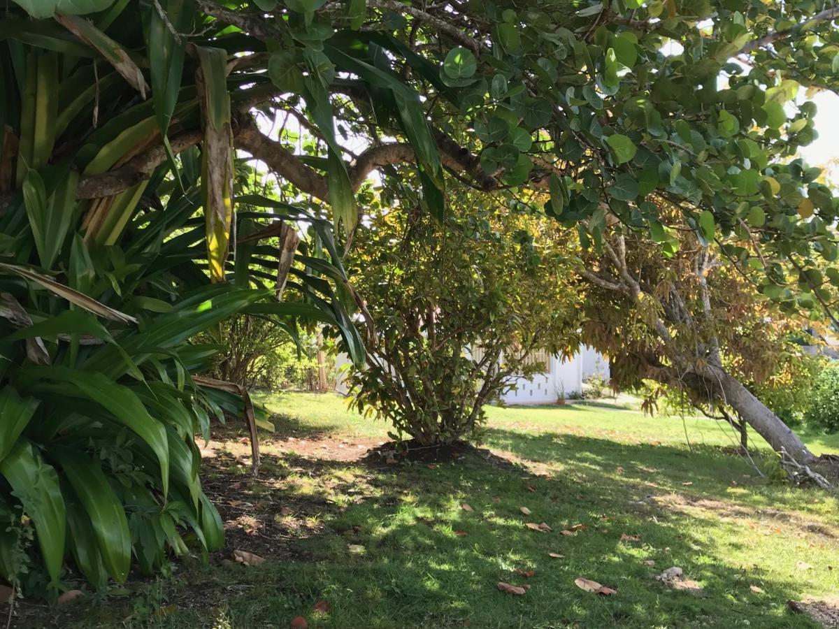 Le Belleplaine Villa Le Gosier  Dış mekan fotoğraf